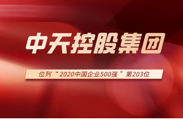 evo视讯集团列2020中国企业500强第203位！